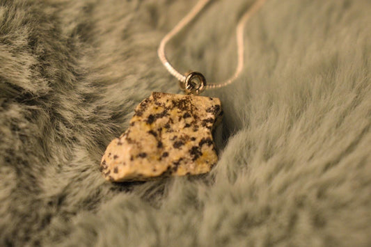 Dalmation Jasper 925 Sterling Silver Necklace