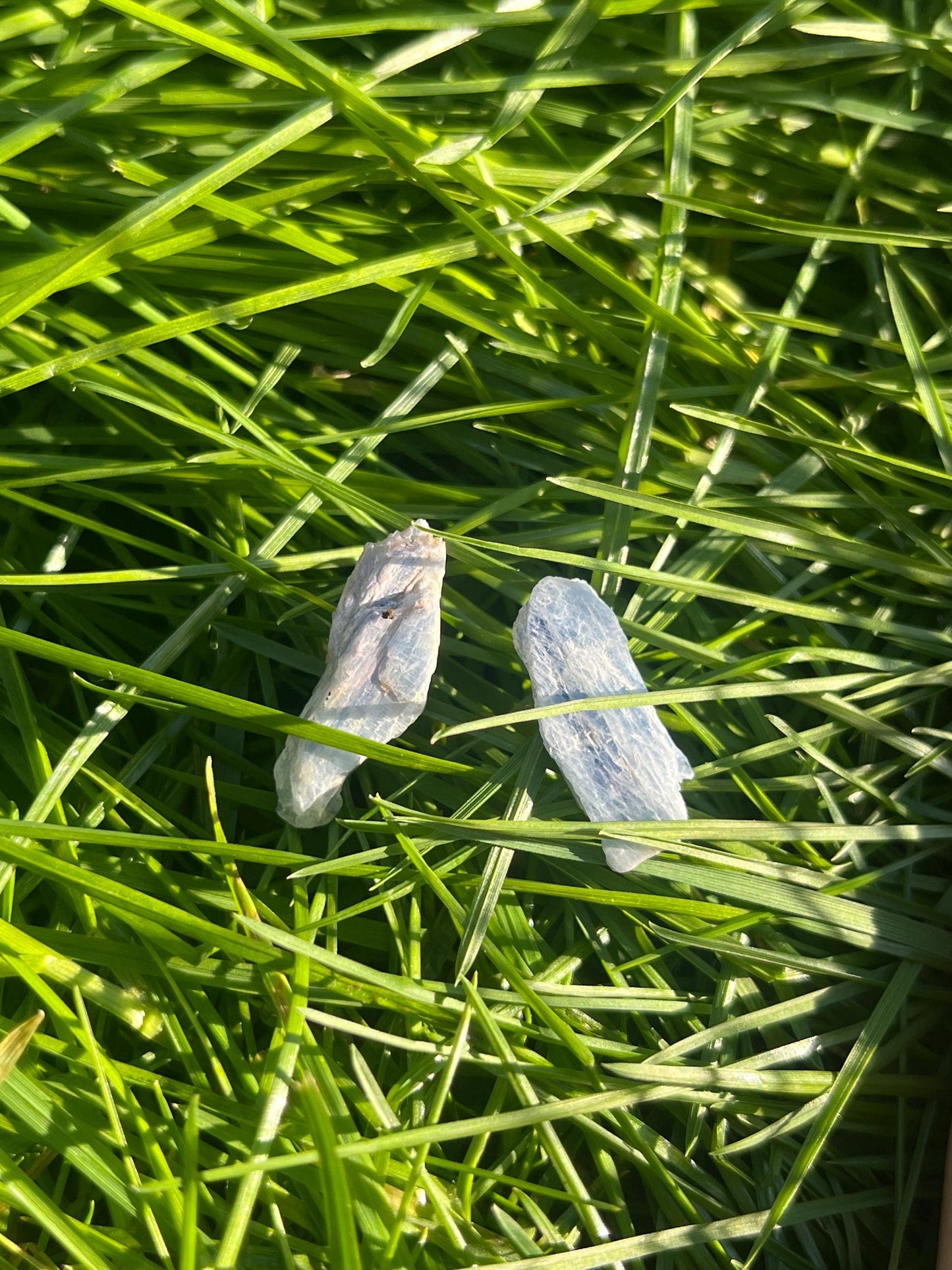 Kyanite Earrings 925 Sterling Silver Back