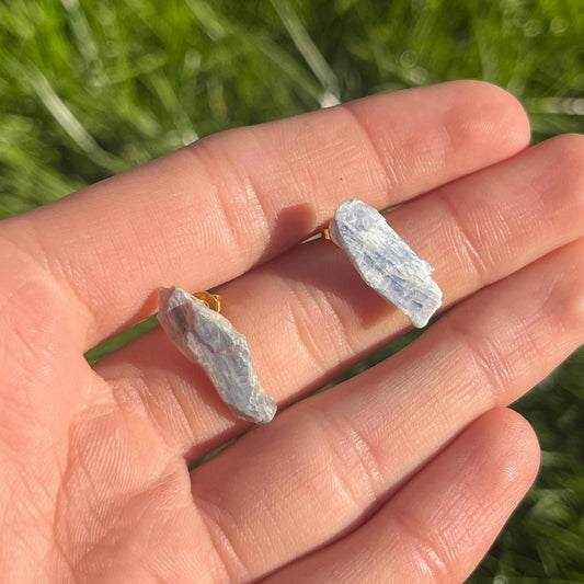 Kyanite Earrings 925 Sterling Silver Back